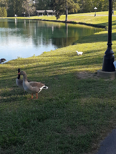 Park «Salem Park», reviews and photos, 1724 GA-155 N, McDonough, GA 30252, USA