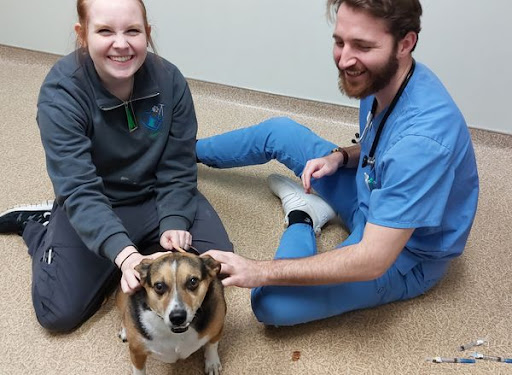 North Kenny Veterinary Hospital image