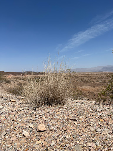 Northshore Rd Overlook, NV-167, Boulder City, NV 89005