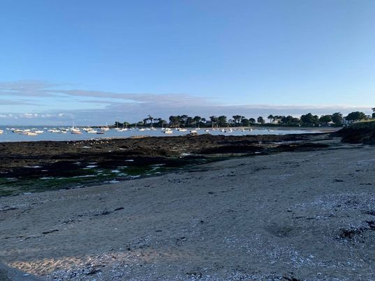 Photo n° 1 de l'avis de Clémence.a fait le 08/08/2021 à 18:18