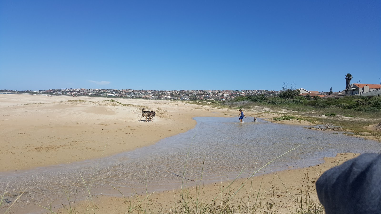 Fotografija Wavecrest beach z dolga ravna obala