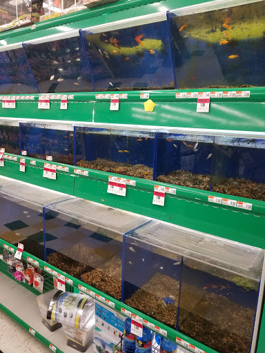 Pet Supply Store «Pet Supplies Plus», reviews and photos, 4405 Milestrip Rd, Blasdell, NY 14219, USA