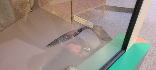 Visitor Center «Golden Pond Visitor Center & Planetarium», reviews and photos, 238 Visitor Center Dr, Golden Pond, KY 42211, USA