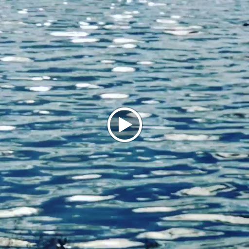 Park «Millers Pond Park», reviews and photos, 6175 Old Pearsall Rd, San Antonio, TX 78242, USA