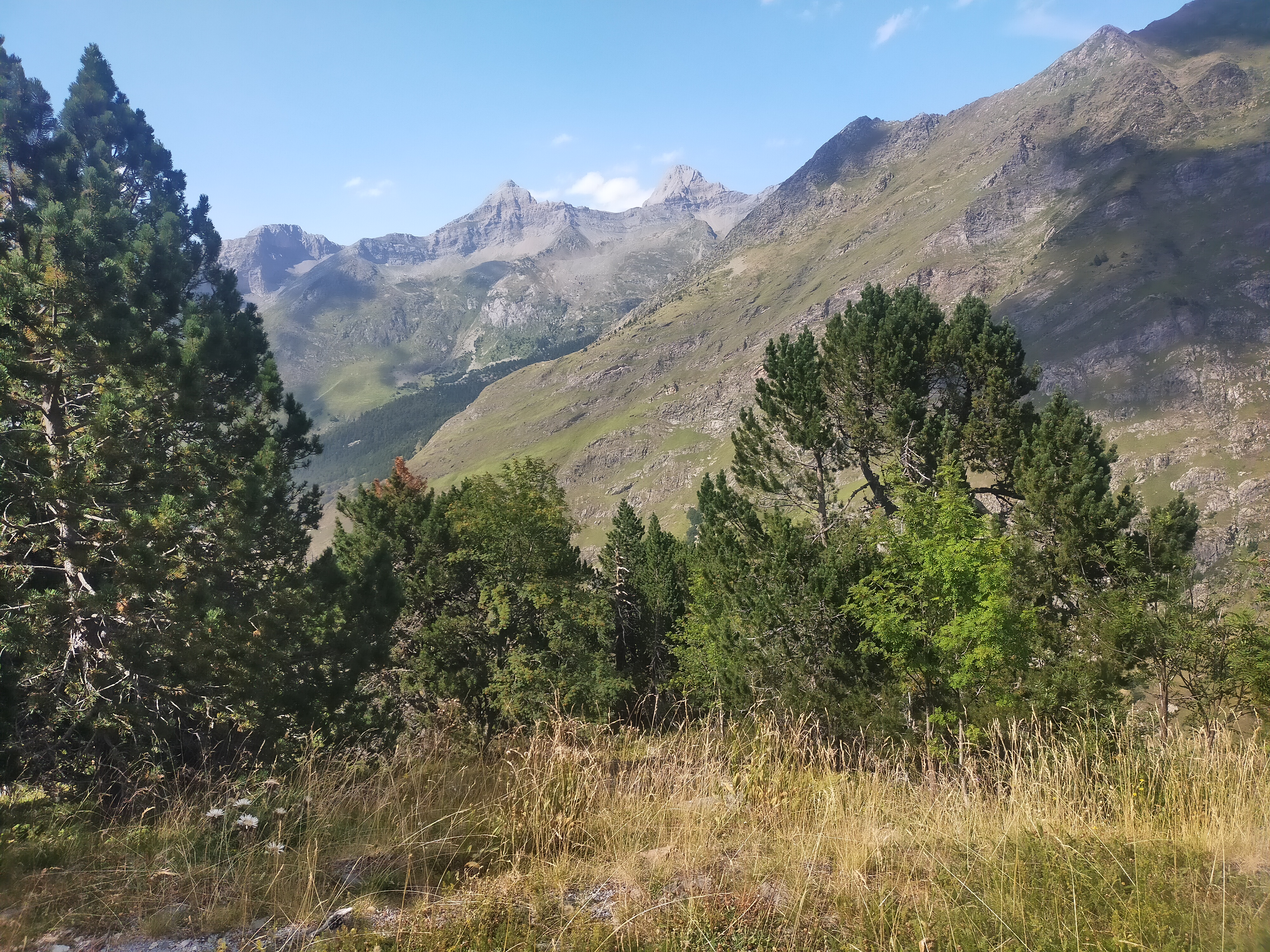 Photo n° 5 de l'avis de Laurence.O fait le 16/08/2023 à 16:22
