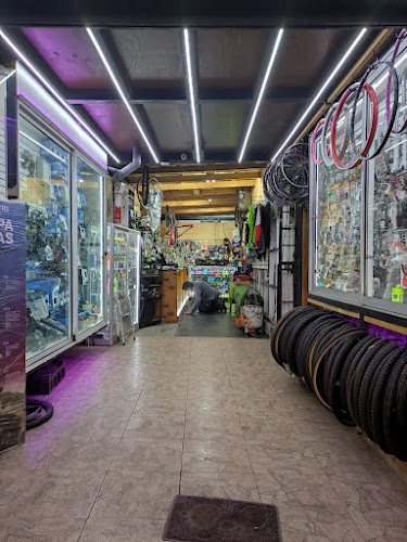 Opiniones de Road Bike en San Francisco de Mostazal - Tienda de bicicletas