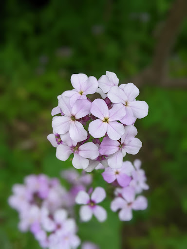 Park «Bryn Mawr Meadows Park», reviews and photos, 601 Morgan Ave S, Minneapolis, MN 55405, USA