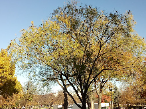 Museum «United States Holocaust Memorial Museum», reviews and photos, 100 Raoul Wallenberg Pl SW, Washington, DC 20024, USA