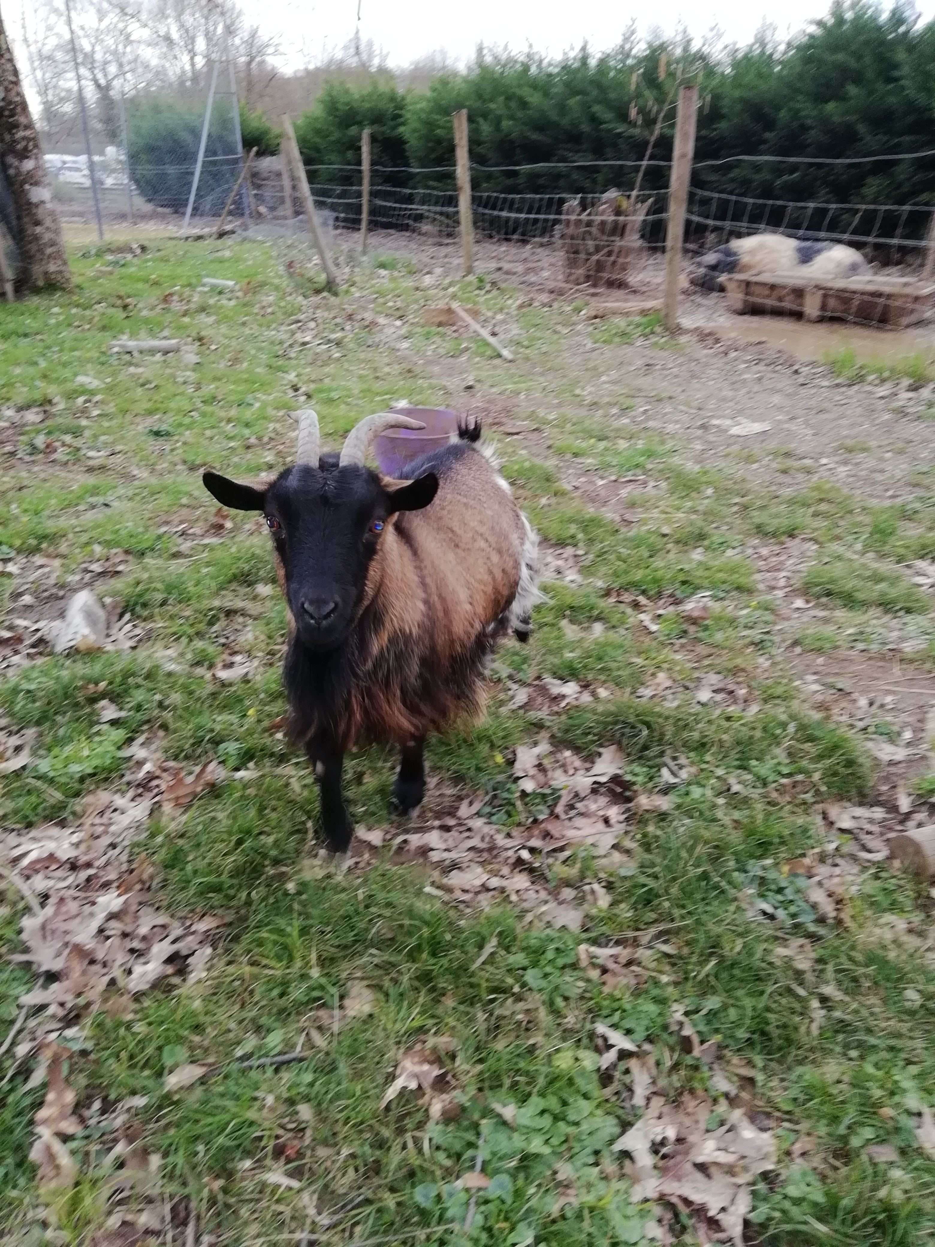 Photo n° 6 de l'avis de Marie.u fait le 08/03/2019 à 09:44