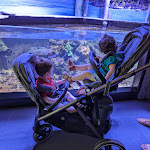 Photo n° 5 de l'avis de Hélène.a fait le 16/07/2023 à 12:08 pour Nausicaa Centre National De La Mer à Boulogne-sur-Mer