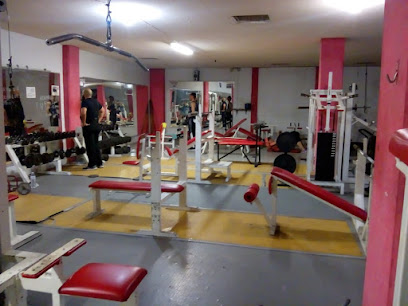 Iron Body Gym - Prol. Cnel. Romero 109 B, Barrio de San Miguelito, 78339 San Luis, S.L.P., Mexico