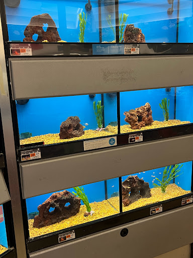 Pet Supply Store «Petco Animal Supplies», reviews and photos, 2230 Marlton Pike W #3, Cherry Hill, NJ 08002, USA