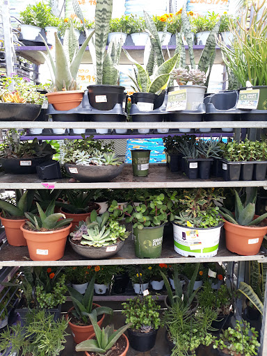 Home Improvement Store «The Home Depot», reviews and photos, 1336 Bristol Pike, Bensalem, PA 19020, USA