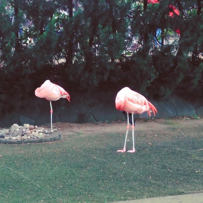 板橋こども動物園 東京都板橋区板橋 動物園 動物園 グルコミ