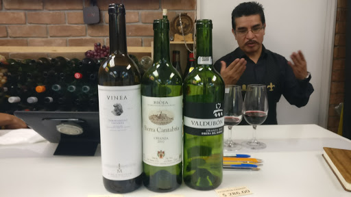 Catas de vinos en Monterrey