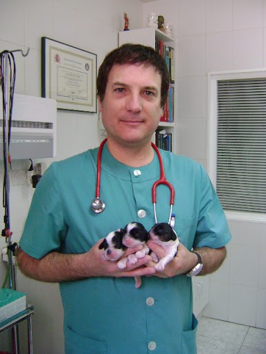 Clínica Veterinaria Alierta en Zaragoza