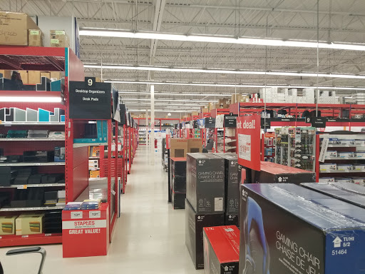 Office Supply Store «Staples», reviews and photos, 11806 Bruce B Downs Blvd, Tampa, FL 33612, USA