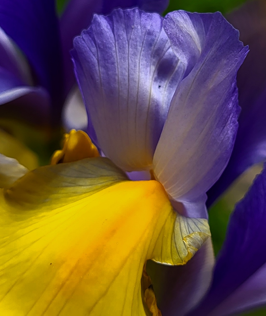 Photo n° 3 de l'avis de Pierre.o fait le 13/05/2023 à 04:02