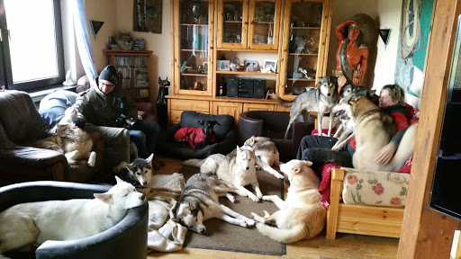 Haus der Hunde, Gabi Lames unter Hillesheim, 