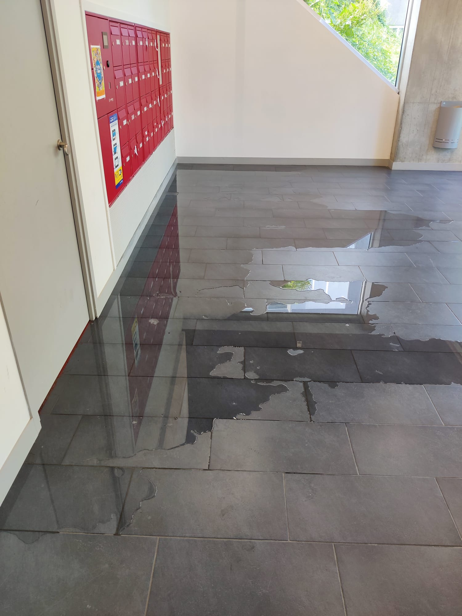 Photo n° 3 de l'avis de Cle.o fait le 12/06/2022 à 18:55