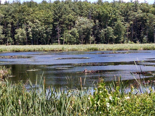 Coffee Shop «The Grind Rail Trail Cafe», reviews and photos, 5 W Broadway, Derry, NH 03038, USA