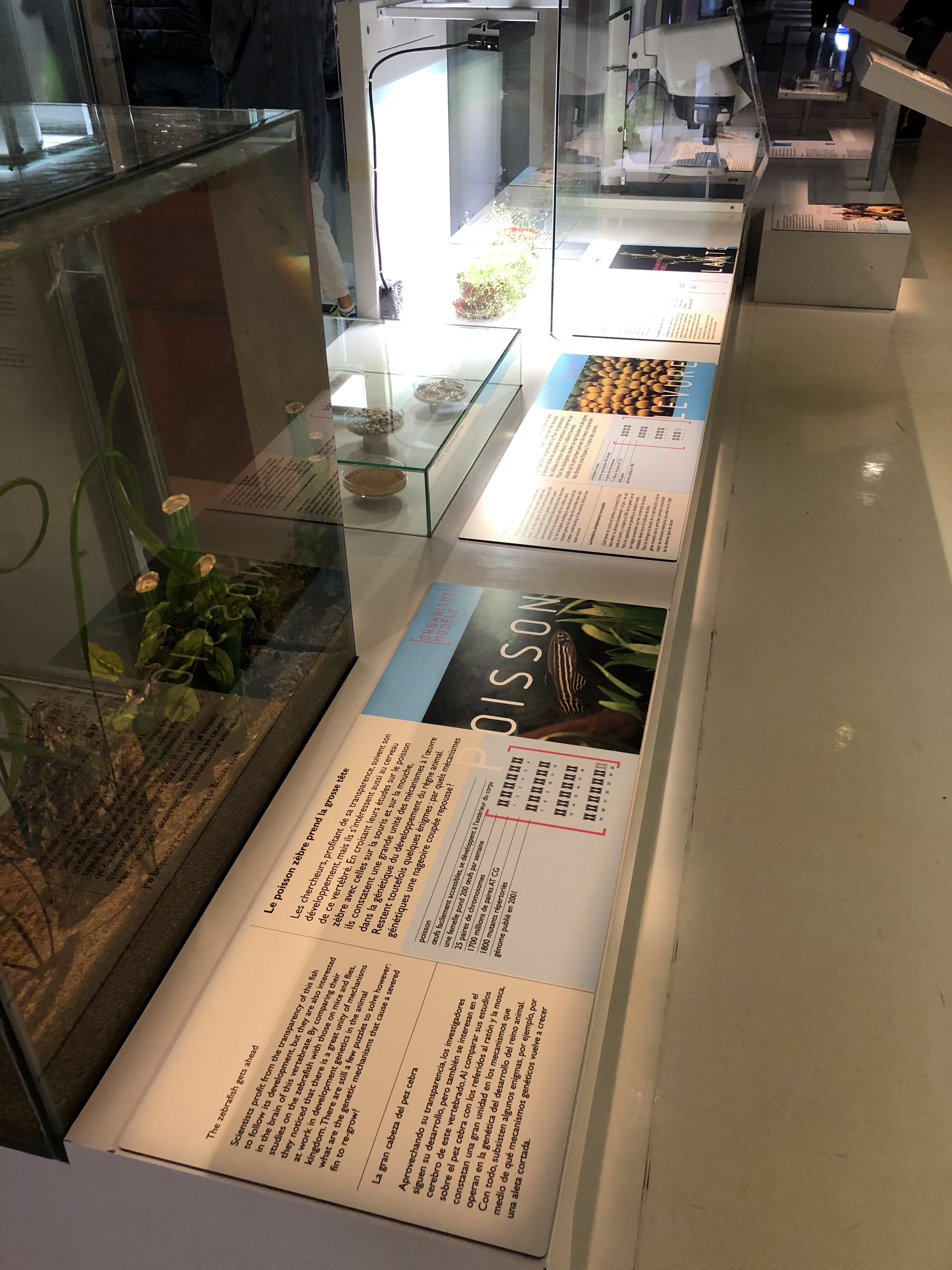 Photo n° 3 de l'avis de Johnny.a fait le 01/12/2019 à 19:06