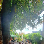Photo n°4 de l'avis de ultra.i fait le 19/09/2023 à 10:30 sur le  Herrmanns Marktwirtschaft à Märkisch Buchholz