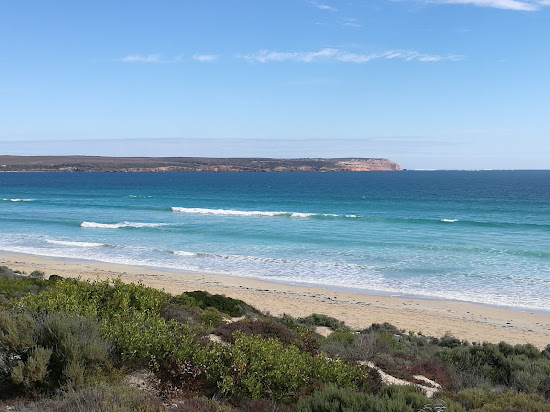 Surfers Beach