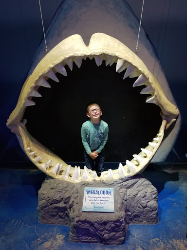 Aquarium «SeaQuest Interactive Aquarium», reviews and photos, 1201 N Hill Field Rd #1072, Layton, UT 84041, USA