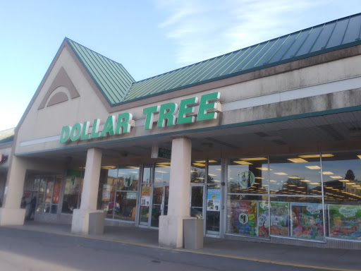 Dollar Store «Dollar Tree», reviews and photos, 562 W Broad St, Hazleton, PA 18201, USA