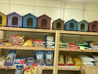 pintos pet shop - Photo 1 - Car repair in Chowchilla, CA, Merced