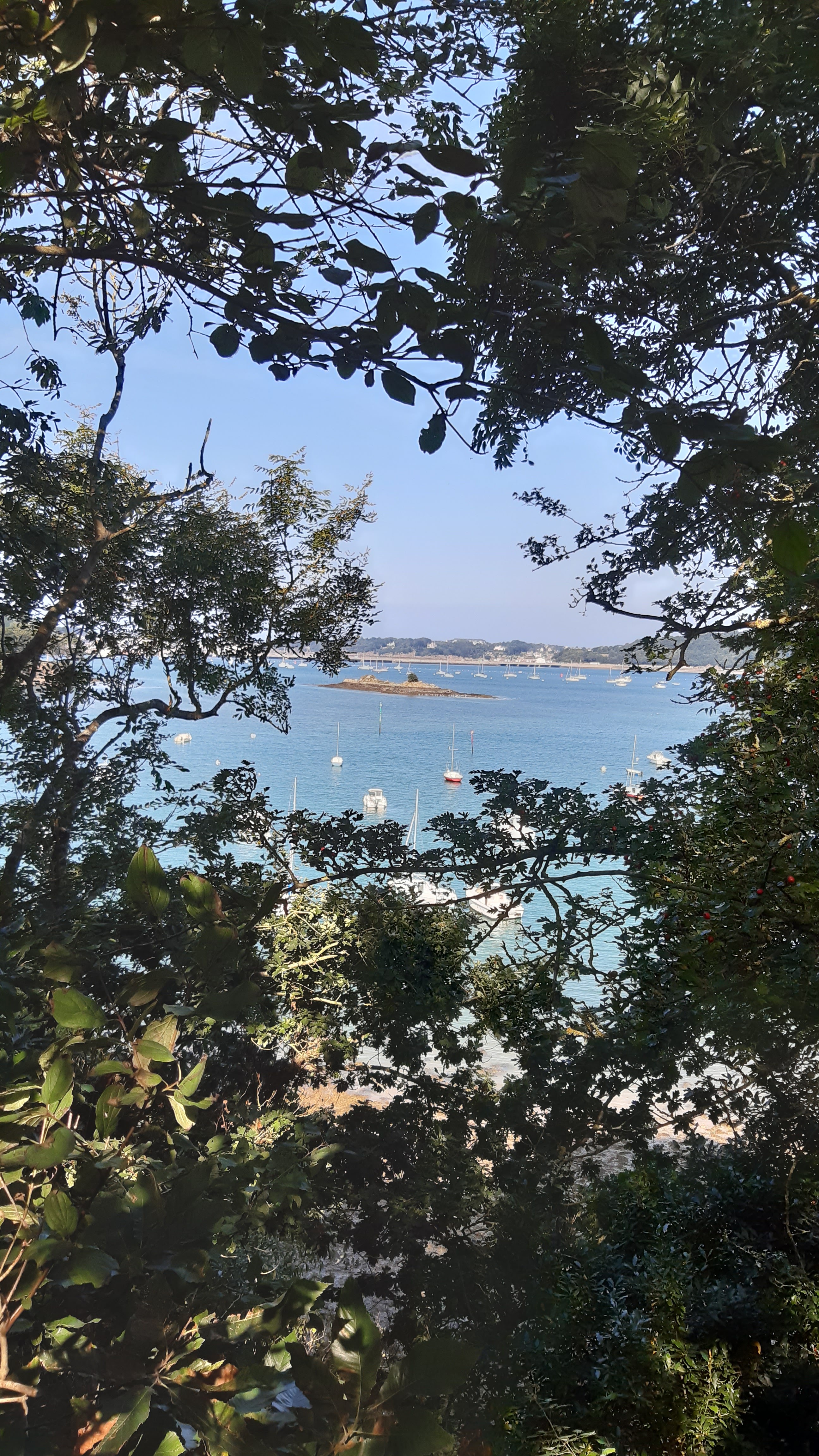 Photo n° 3 de l'avis de Anne-Marie.e fait le 23/09/2021 à 20:14