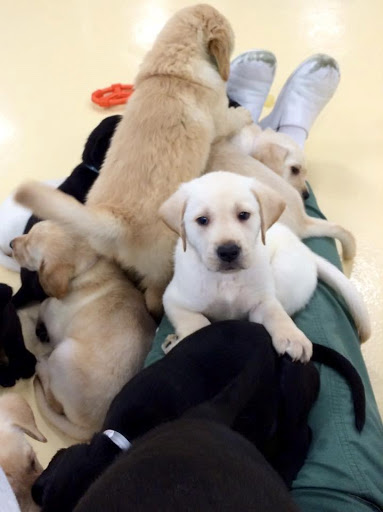 268 Clove Rd, Montague Township, NJ 07827, USA