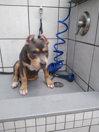 Pet Supply Store «Pet Supplies Plus», reviews and photos, 29493 W Seven Mile Rd, Livonia, MI 48152, USA