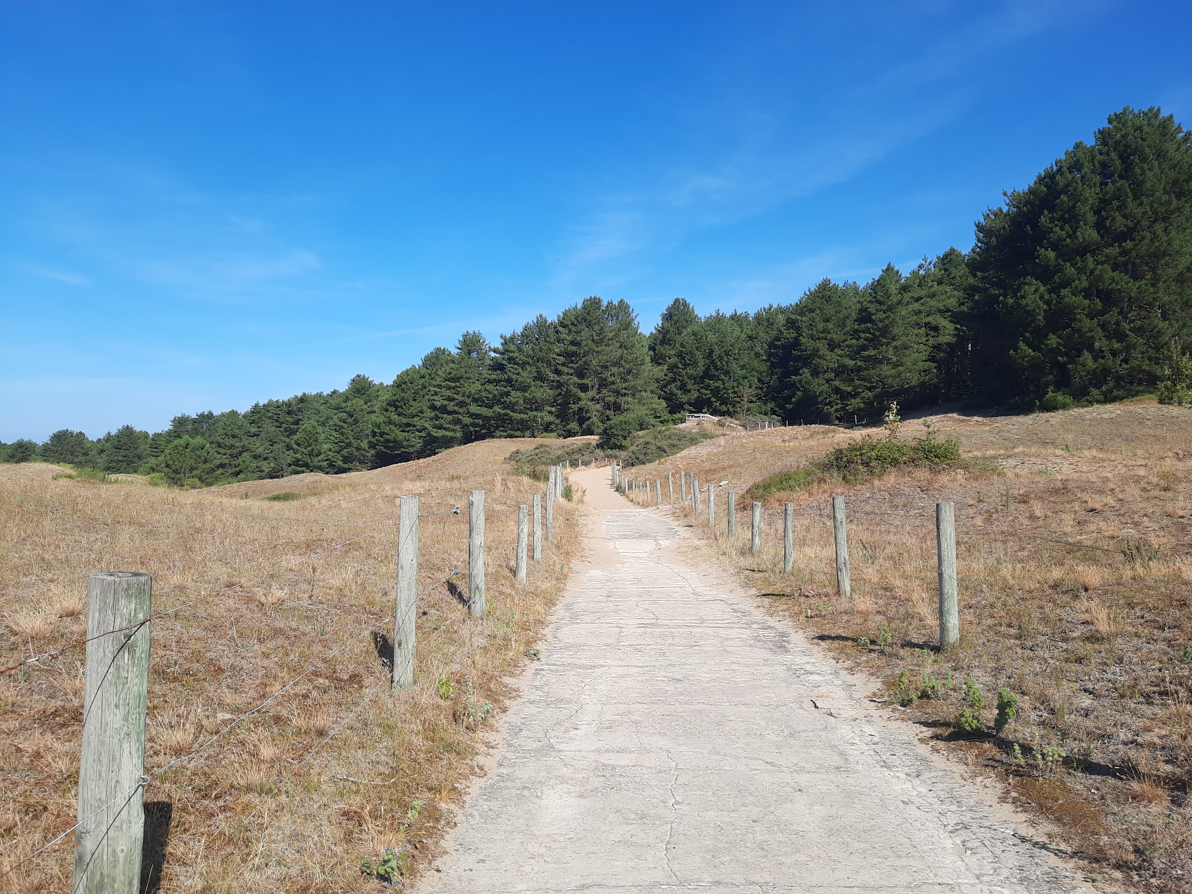 Photo n° 1 de l'avis de Stéphanie.u fait le 10/08/2022 à 12:02