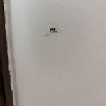 Photo n°3 de l'avis de Phil.e fait le 22/08/2023 à 11:51 sur le  Hotel Verdi à Pisa