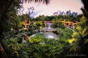 Eden Gardens image