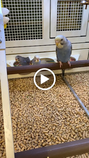 Pet Supply Store «PetSmart», reviews and photos, 2141 N Rose Ave, Oxnard, CA 93036, USA