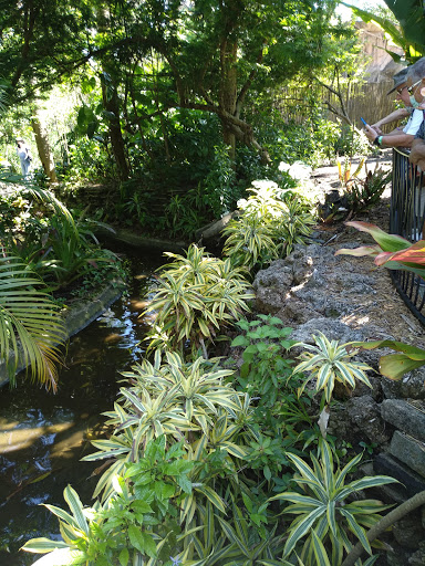 Museum «Aerospace Discovery at the Florida Air Museum», reviews and photos, 4175 Medulla Rd, Lakeland, FL 33811, USA