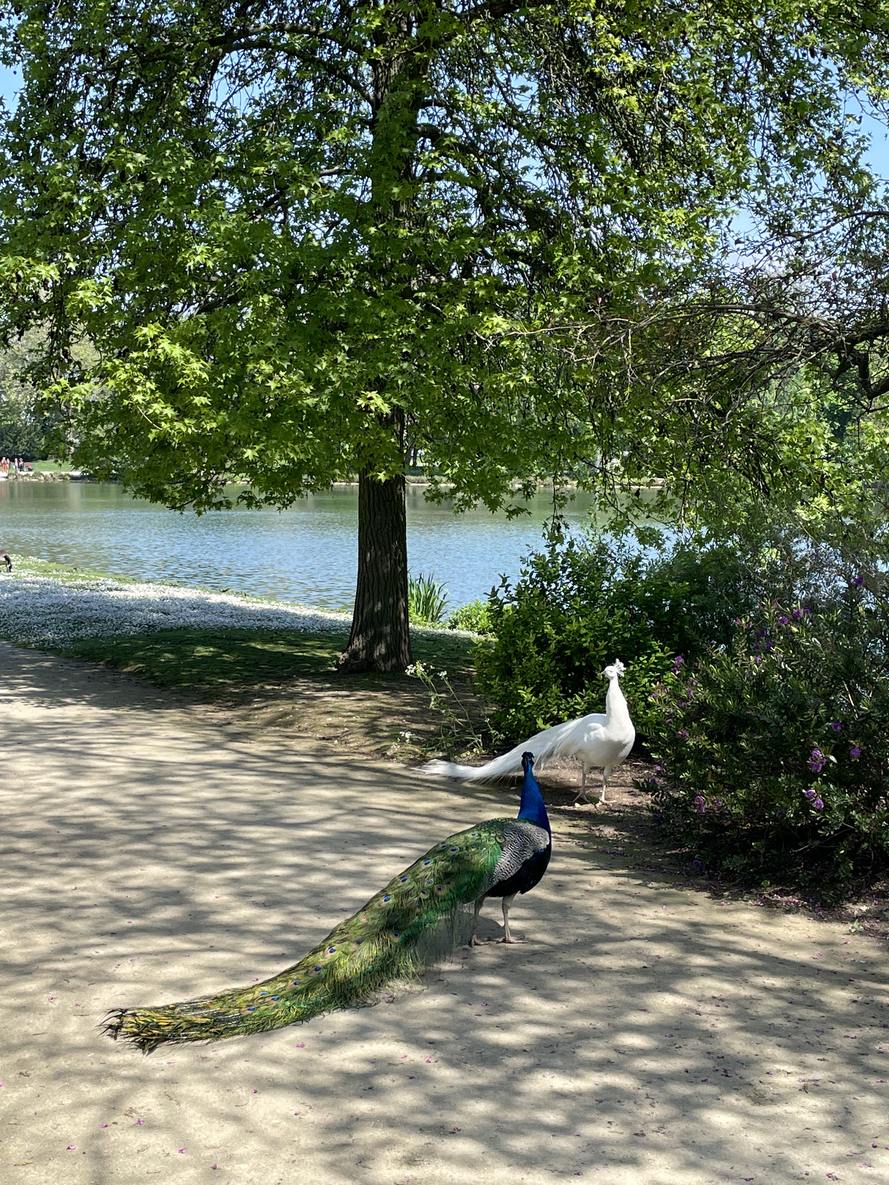 Photo n° 4 de l'avis de Clau.o fait le 02/05/2023 à 16:08