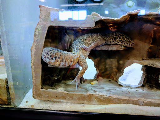 Pet Supply Store «Petco Animal Supplies», reviews and photos, 839 New York Ave, Huntington, NY 11743, USA