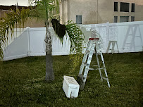 Bryan and the Bees - Photo 6 - Car repair in , Oceanside