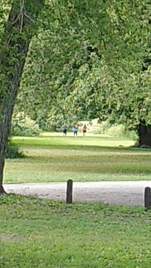 Saulsbury Bridge Recreation Area - photo 59