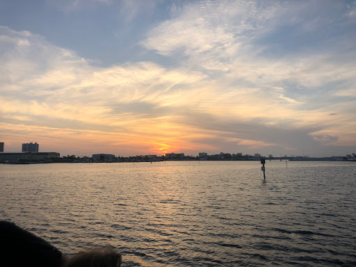 Tourist Attraction «Sea Dragon Pirate Cruise», reviews and photos, 5325 N Lagoon Dr, Panama City, FL 32408, USA