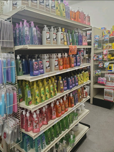 Discount Store «Big Lots», reviews and photos, 1101 WP Ball Blvd, Sanford, FL 32771, USA