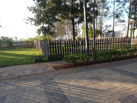 Google Maps image 12