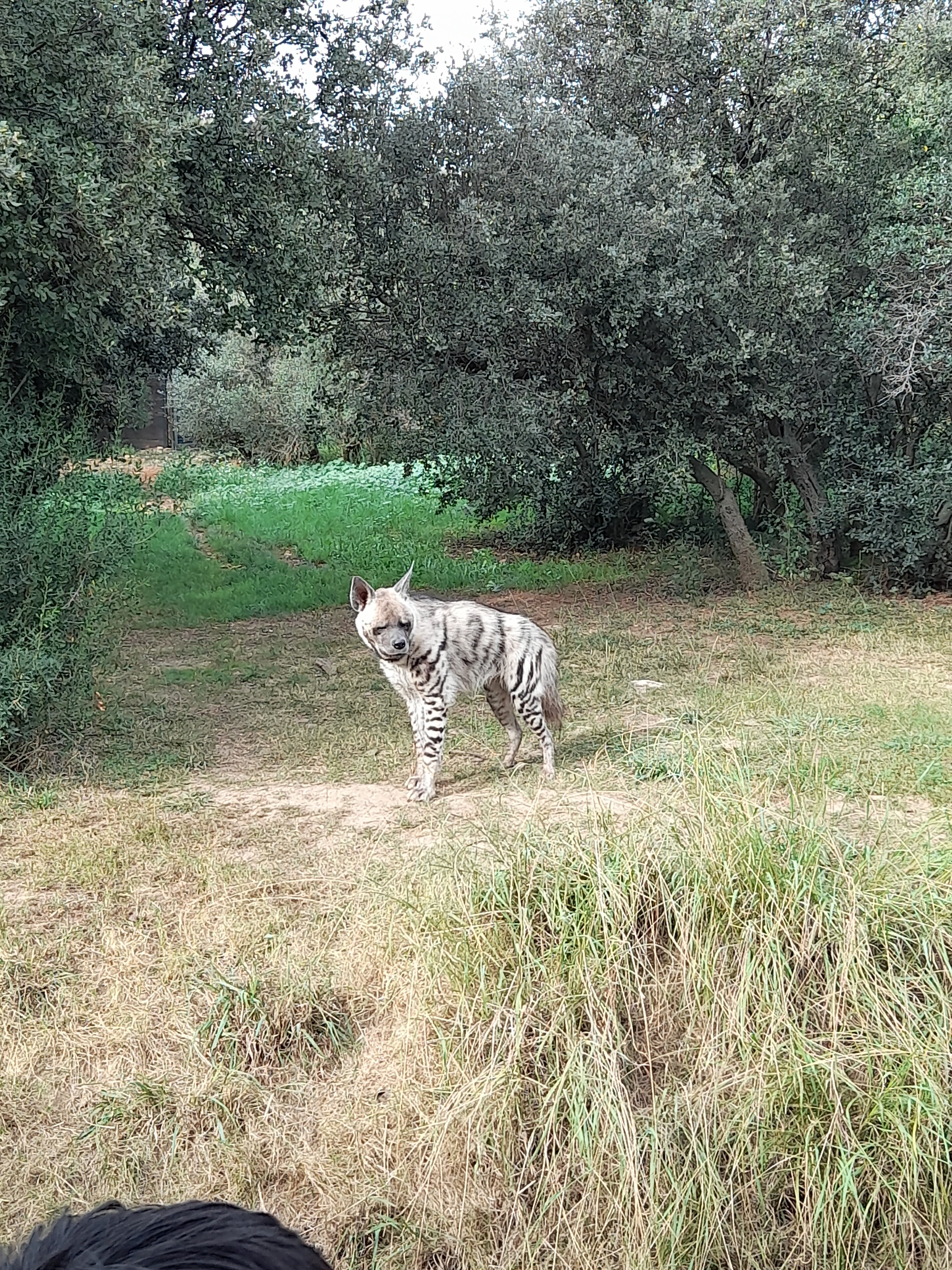 Photo n° 2 de l'avis de Rajaa.l fait le 23/10/2022 à 18:51