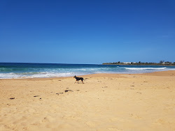 Culburra Beach'in fotoğrafı çok temiz temizlik seviyesi ile