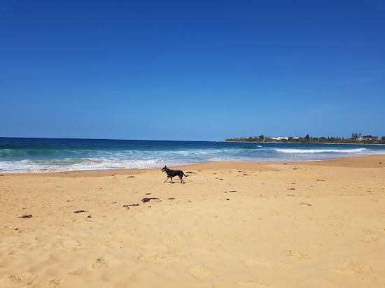 Culburra Beach
