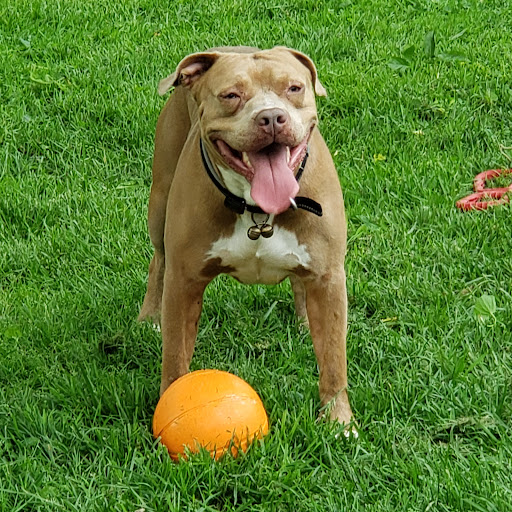 Movie Theater «Regal Cinemas Greenwood 14 & RPX», reviews and photos